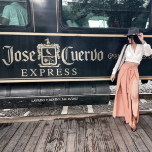 Todo sobre el tren Jose Cuervo